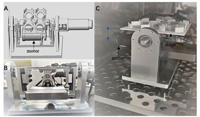 Effects of microvibration stimulation on developmental potential of discarded germinal vesicle oocytes of human